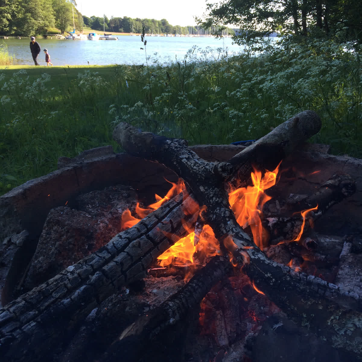 En lägereld med en sjö i bakgrunden.