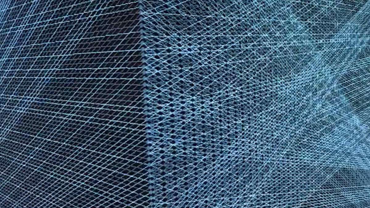 En väv av korslagda linjer på en datorskärm.