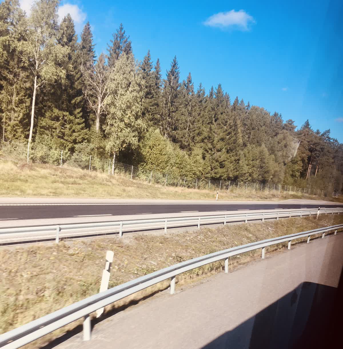 En bild på väg och skog tagen från en buss.
