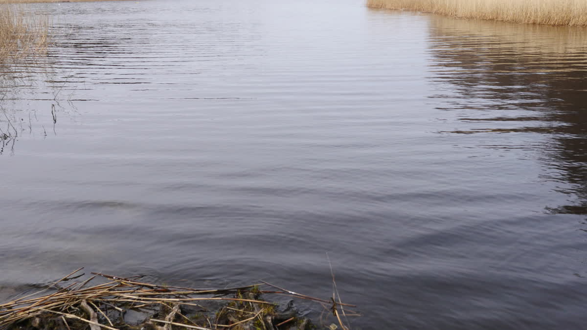 En sjö.