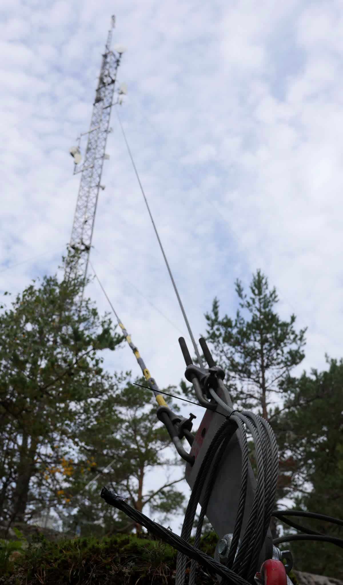 En mobilmast som sträcker sig mot himlen från en skogsmiljö.